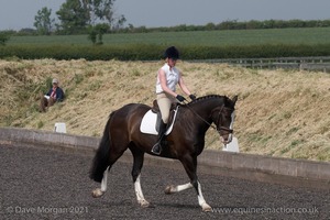 ISIS Dressage Challenge 2008